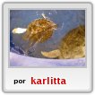 tortugas